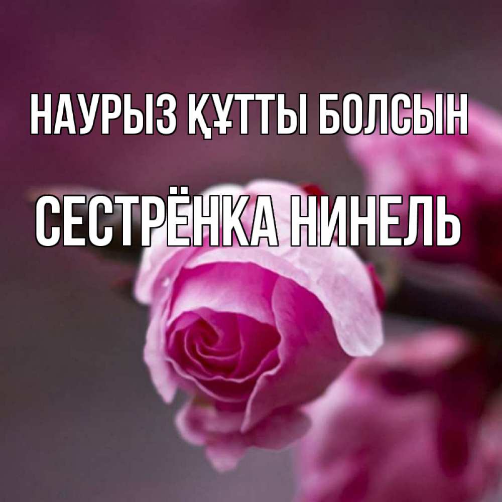 Открытка на каждый день с именем, Сестрёнка-Нинель Наурыз құтты болсын весна Прикольная открытка с пожеланием онлайн скачать бесплатно 