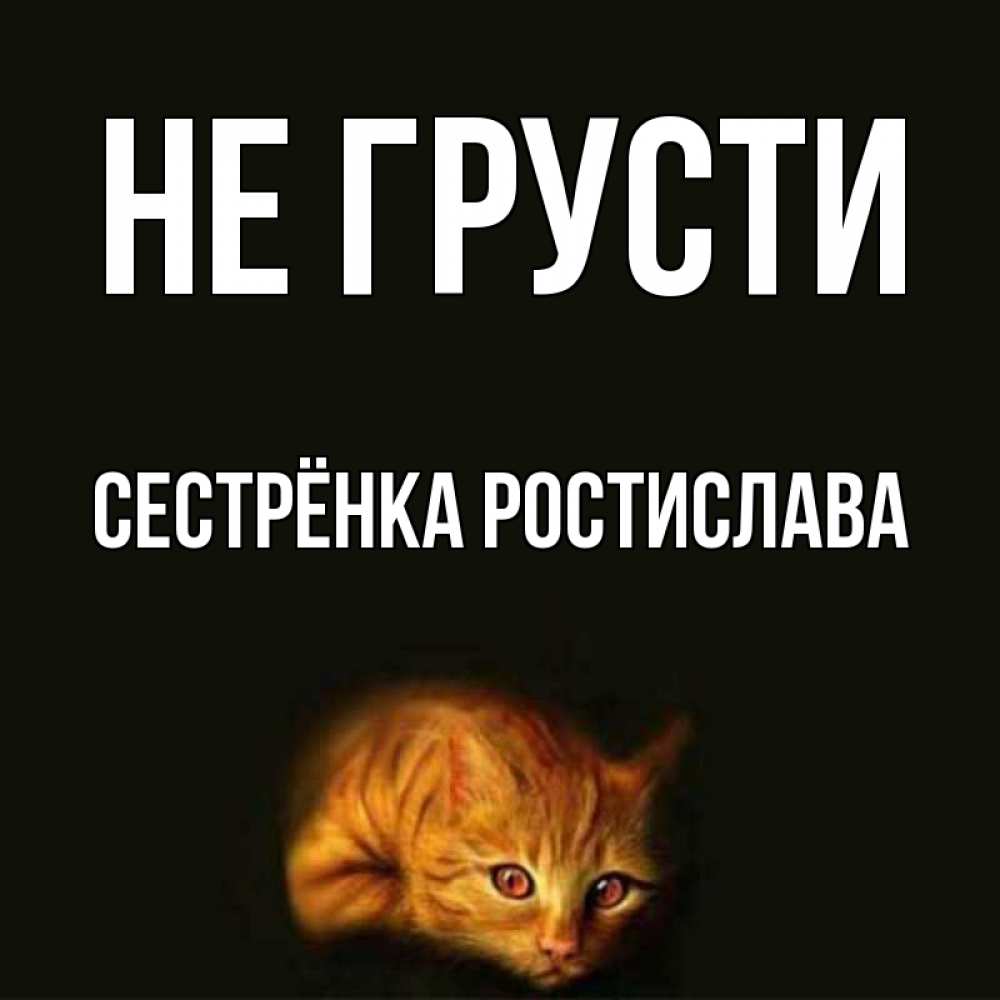 Открытка на каждый день с именем, Сестрёнка-Ростислава Не грусти лежащий кот в темноте Прикольная открытка с пожеланием онлайн скачать бесплатно 