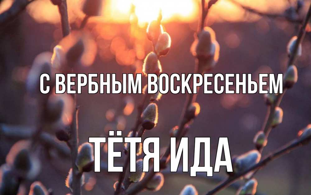 Открытка на каждый день с именем, Тётя-Ида С вербным воскресеньем верба Прикольная открытка с пожеланием онлайн скачать бесплатно 