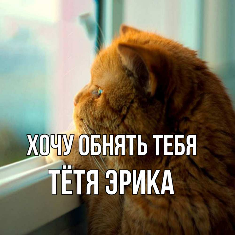 Открытка на каждый день с именем, Тётя-Эрика Хочу обнять тебя большой огромный рыжий котяра Прикольная открытка с пожеланием онлайн скачать бесплатно 