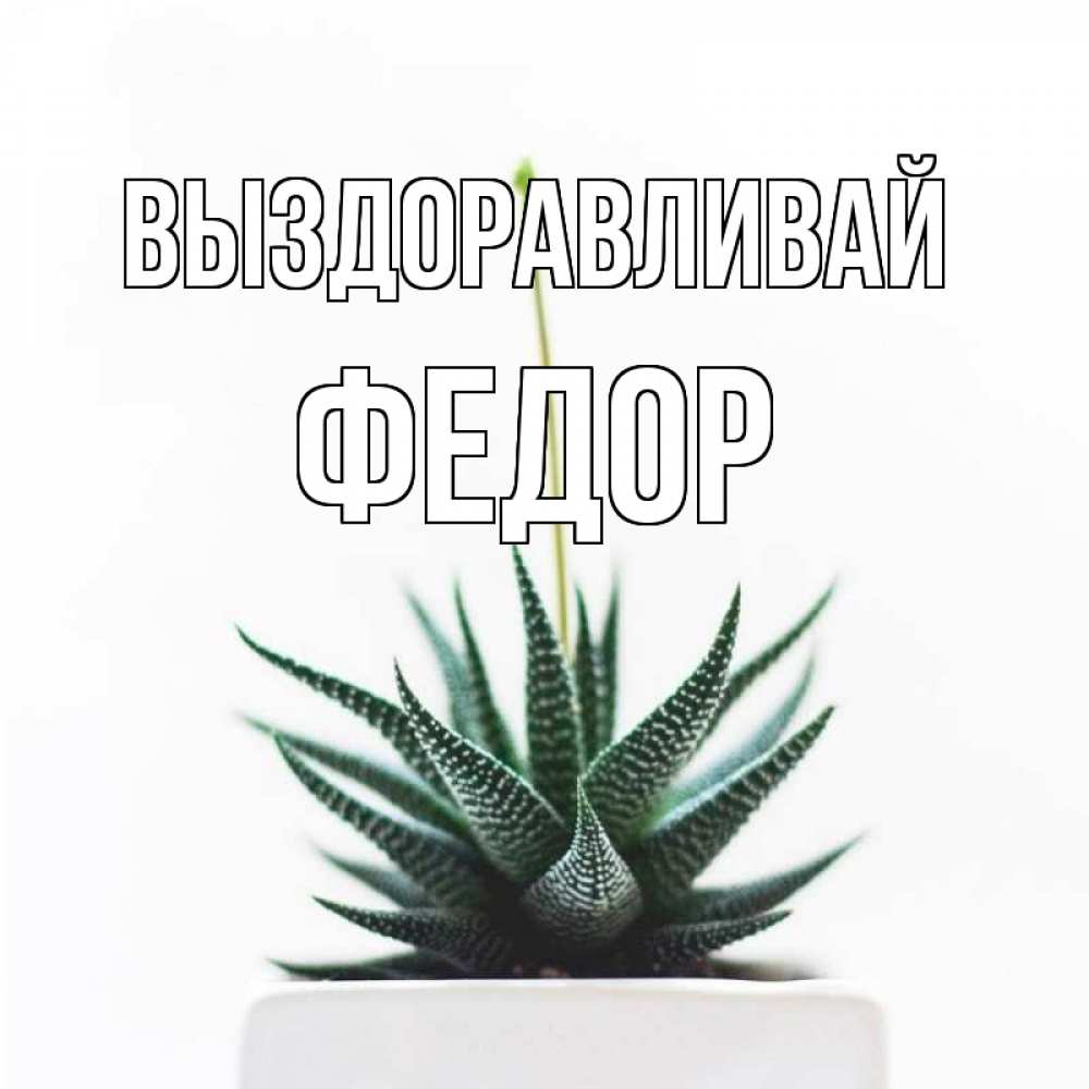 Открытка на каждый день с именем, Федор Выздоравливай короче это непонятная колючка Прикольная открытка с пожеланием онлайн скачать бесплатно 