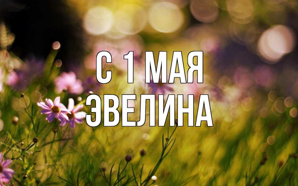Открытка на каждый день с именем, Эвелина С 1 мая С 1 мая Прикольная открытка с пожеланием онлайн скачать бесплатно 