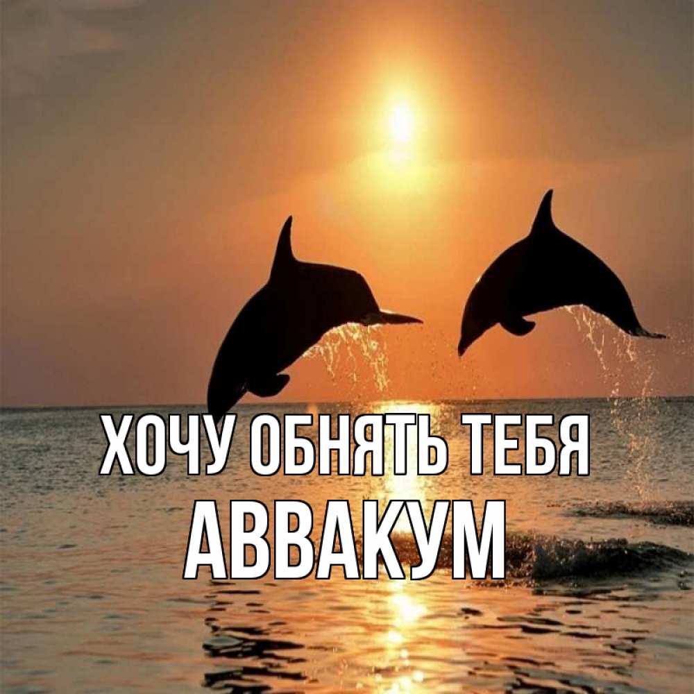 Открытка на каждый день с именем, Аввакум Хочу обнять тебя рыбы на закате Прикольная открытка с пожеланием онлайн скачать бесплатно 