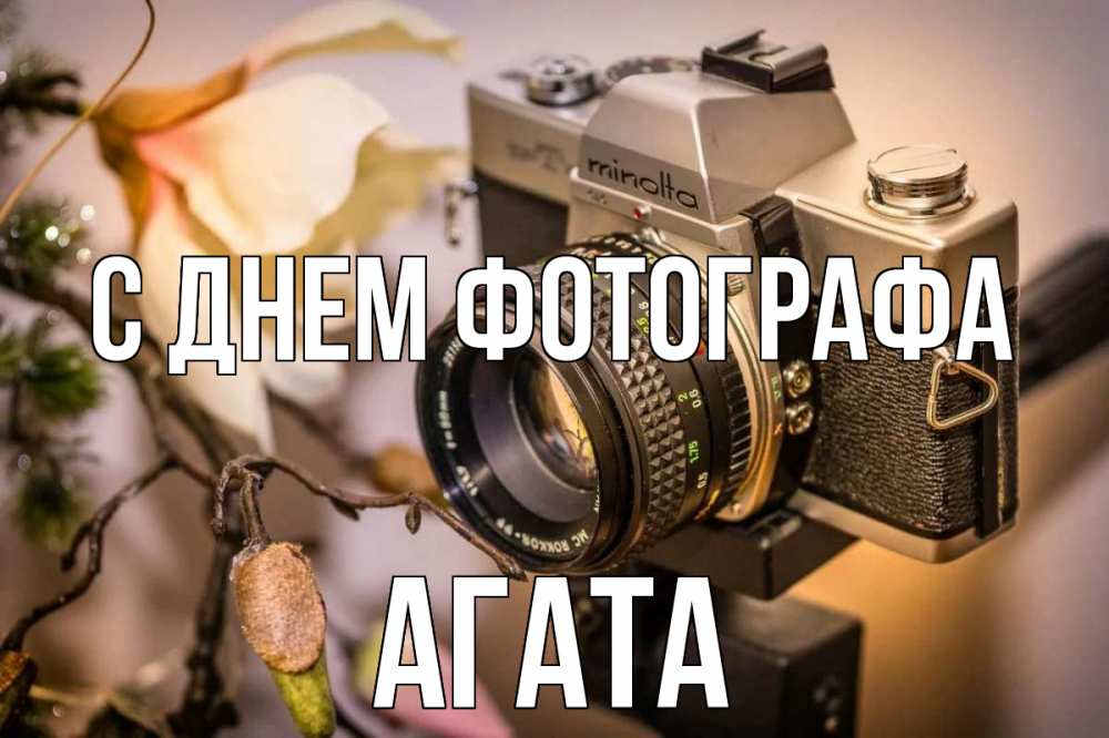 Открытка на каждый день с именем, Агата С днем фотографа с днем фотографа 1 Прикольная открытка с пожеланием онлайн скачать бесплатно 