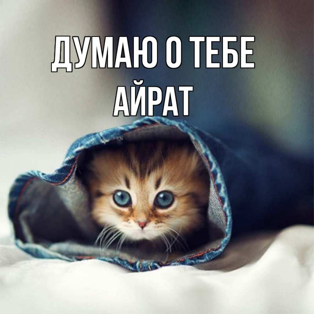 Открытка на каждый день с именем, Айрат Думаю о тебе мне без тебя плохо Прикольная открытка с пожеланием онлайн скачать бесплатно 