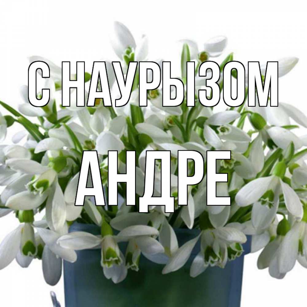 Открытка на каждый день с именем, Андре С наурызом цветы к наурызу новый год в Казахстане Прикольная открытка с пожеланием онлайн скачать бесплатно 