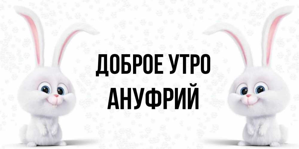 Открытка на каждый день с именем, Ануфрий Доброе утро кролики с длинными ушками Прикольная открытка с пожеланием онлайн скачать бесплатно 