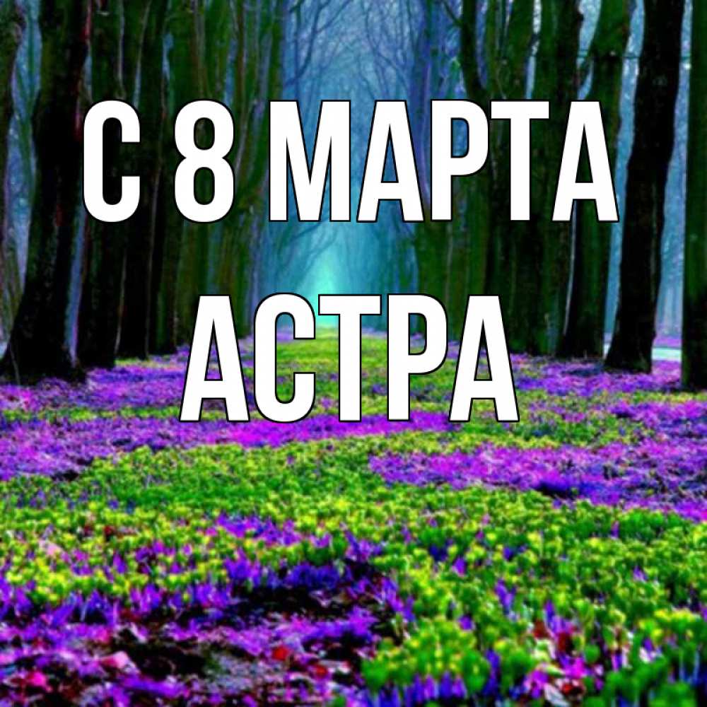Открытка на каждый день с именем, Астра С 8 МАРТА фиолетовые цветы в лесу 1 Прикольная открытка с пожеланием онлайн скачать бесплатно 