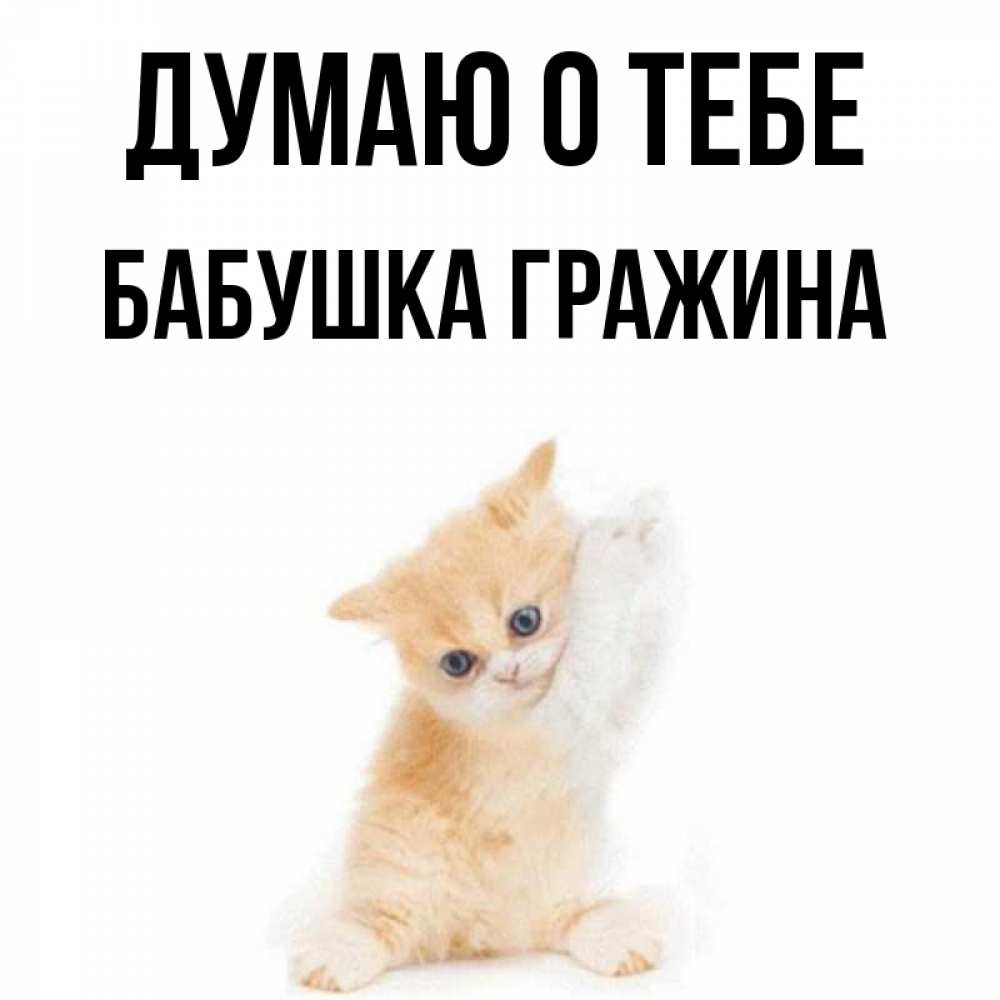 Открытка на каждый день с именем, Бабушка-Гражина Думаю о тебе зверушки и милота Прикольная открытка с пожеланием онлайн скачать бесплатно 