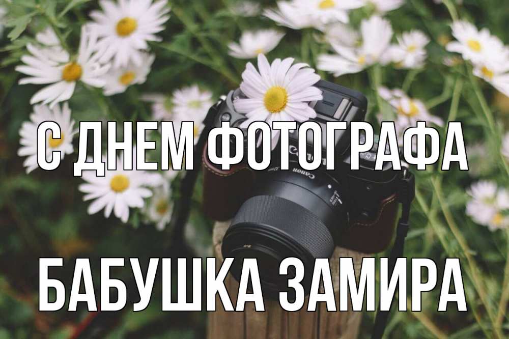 Открытка на каждый день с именем, Бабушка-Замира С днем фотографа с днем фотографа Прикольная открытка с пожеланием онлайн скачать бесплатно 