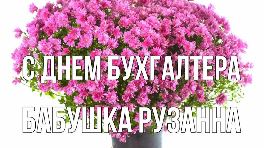 Открытка на каждый день с именем, Бабушка-Рузанна С днем бухгалтера с днем бухгалтера Прикольная открытка с пожеланием онлайн скачать бесплатно 