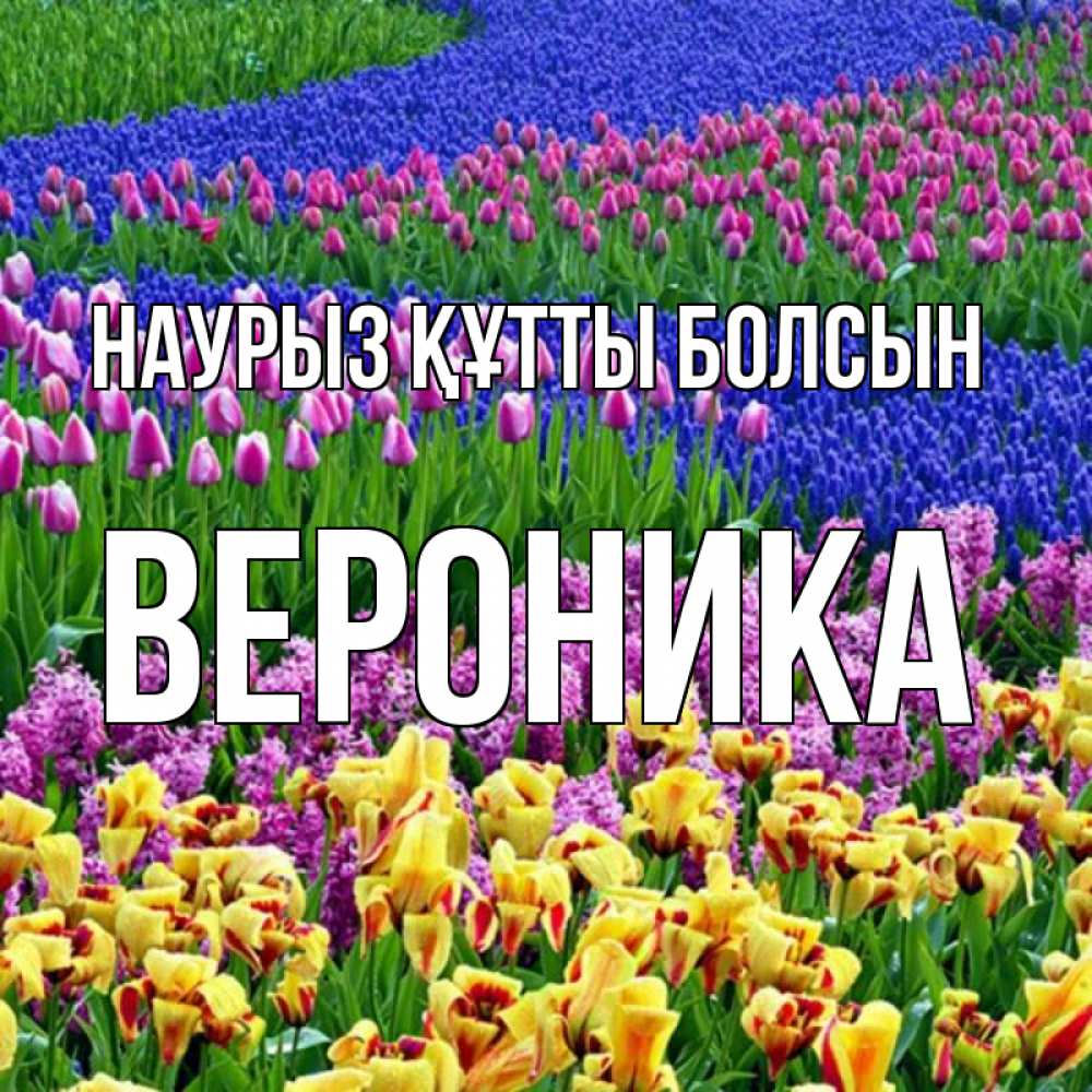 Открытка на каждый день с именем, Вероника Наурыз құтты болсын цветы Прикольная открытка с пожеланием онлайн скачать бесплатно 