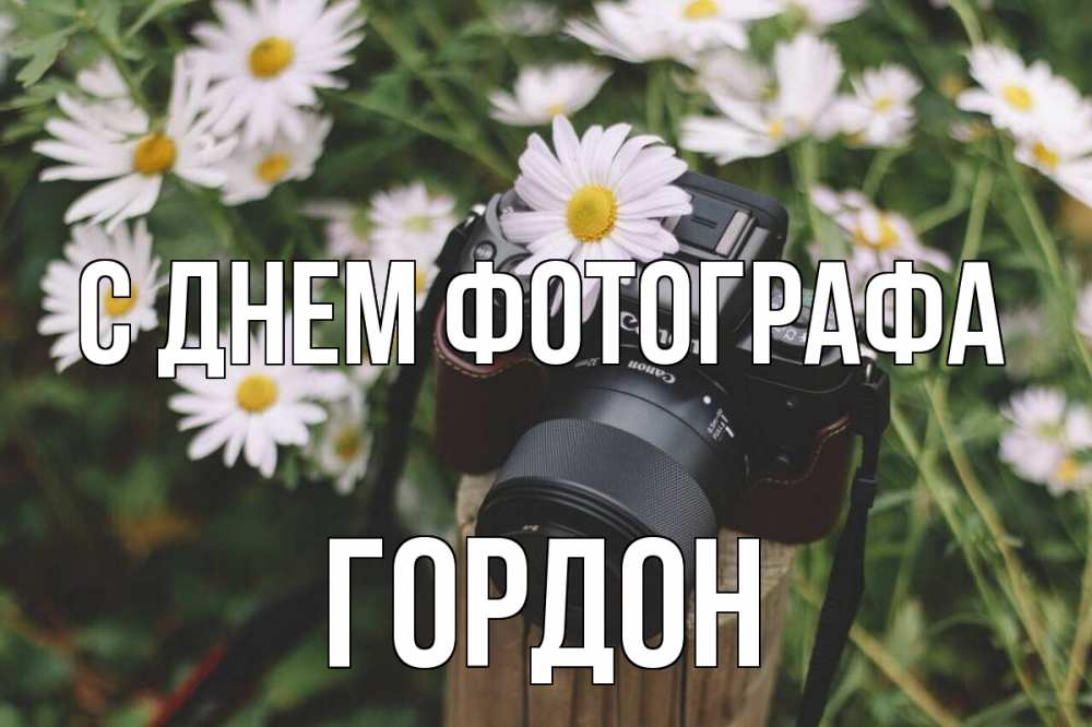 Открытка на каждый день с именем, Гордон С днем фотографа с днем фотографа Прикольная открытка с пожеланием онлайн скачать бесплатно 