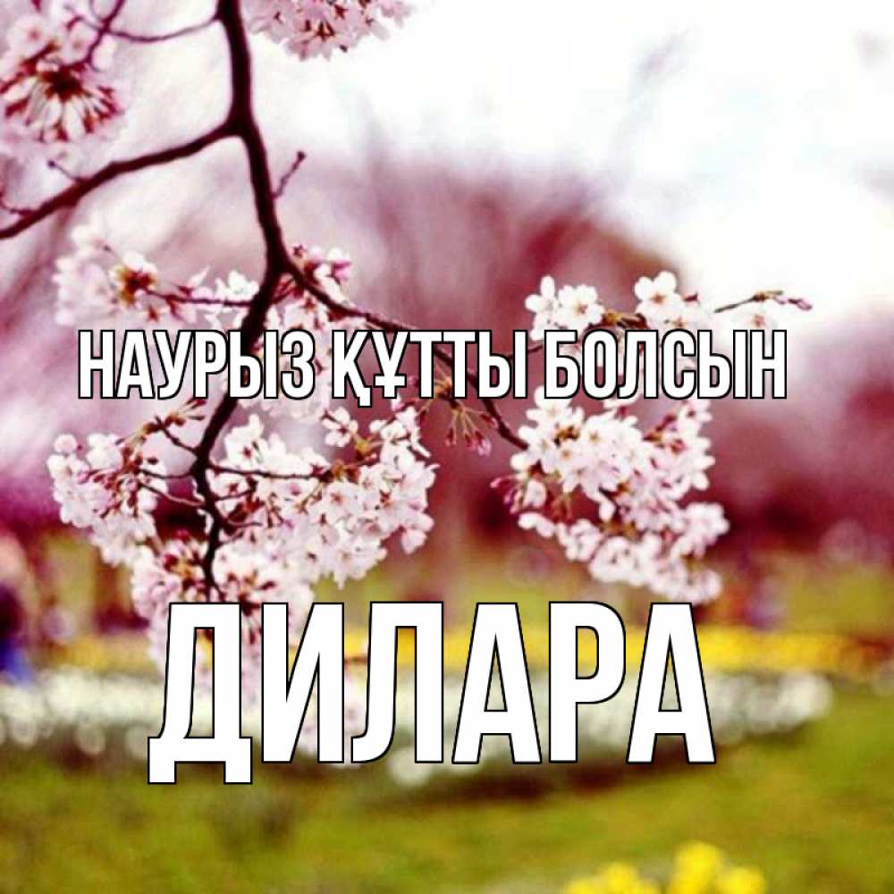 Открытка на каждый день с именем, Дилара Наурыз құтты болсын яблоня Прикольная открытка с пожеланием онлайн скачать бесплатно 