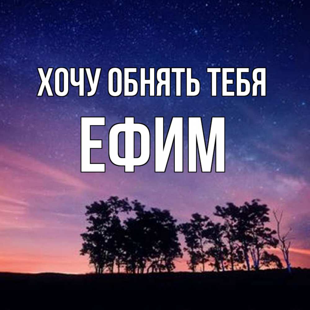 Открытка на каждый день с именем, Ефим Хочу обнять тебя силуэты деревьев Прикольная открытка с пожеланием онлайн скачать бесплатно 