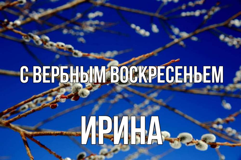 Открытка на каждый день с именем, Ирина С вербным воскресеньем верба Прикольная открытка с пожеланием онлайн скачать бесплатно 