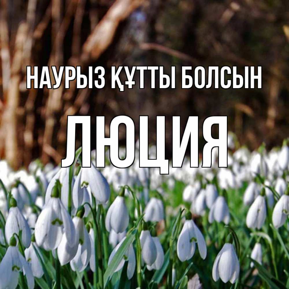 Открытка на каждый день с именем, Люция Наурыз құтты болсын с подснежниками 1 Прикольная открытка с пожеланием онлайн скачать бесплатно 