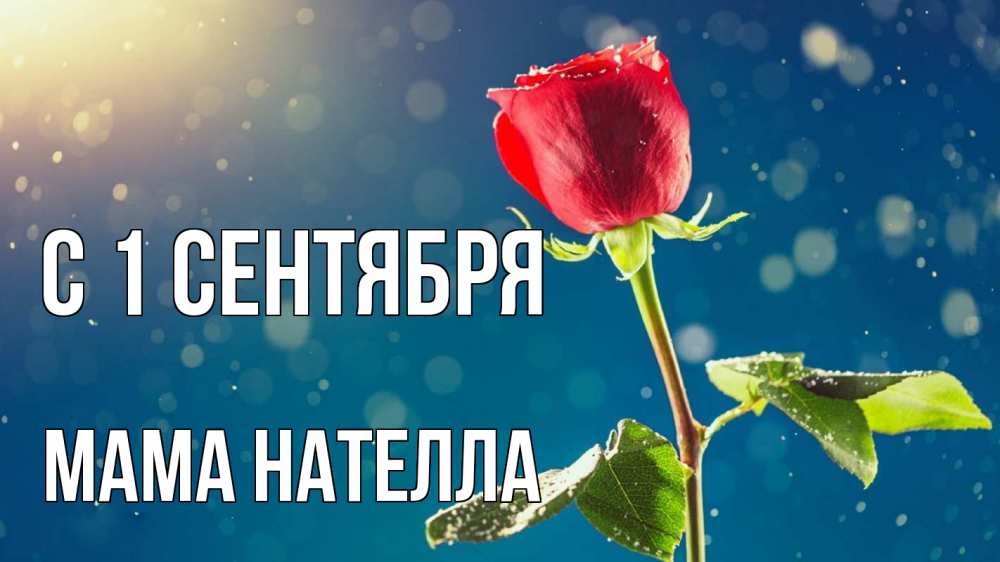 Открытка на каждый день с именем, Мама-Нателла С 1 сентября с днем знаний Прикольная открытка с пожеланием онлайн скачать бесплатно 