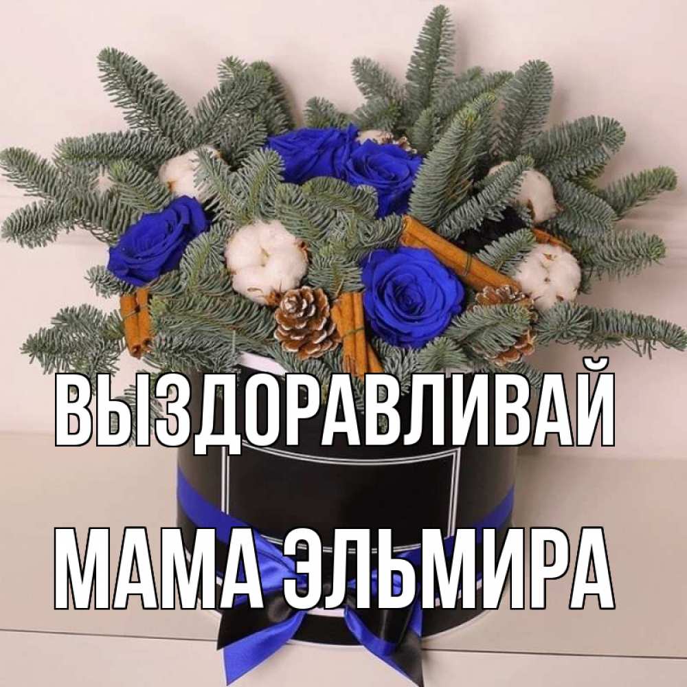 Открытка на каждый день с именем, Мама-Эльмира Выздоравливай короче кто то загрузил эти шишки Прикольная открытка с пожеланием онлайн скачать бесплатно 