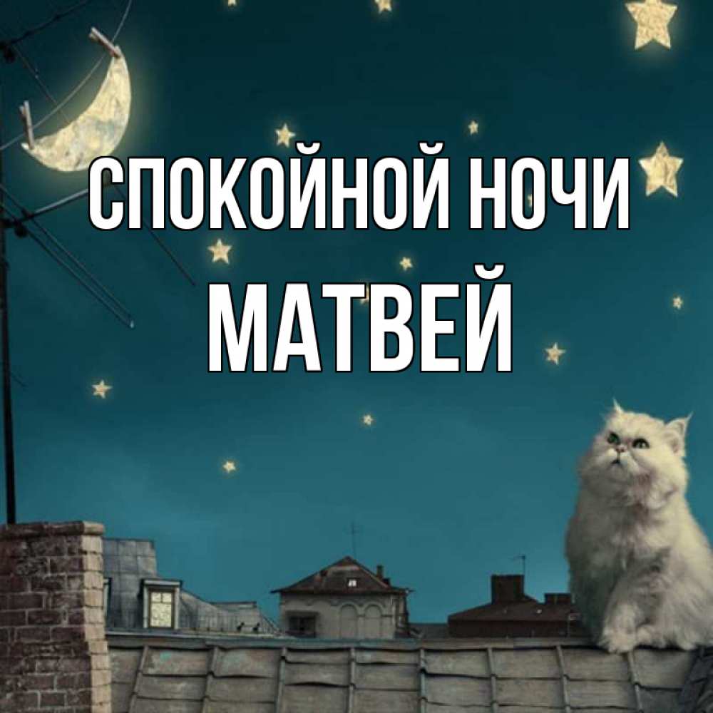 Открытка на каждый день с именем, Матвей Спокойной ночи белый кот сидит на крыше Прикольная открытка с пожеланием онлайн скачать бесплатно 