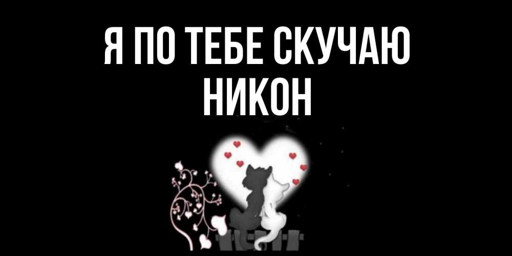 Открытка на каждый день с именем, Никон Я по тебе скучаю коты Прикольная открытка с пожеланием онлайн скачать бесплатно 