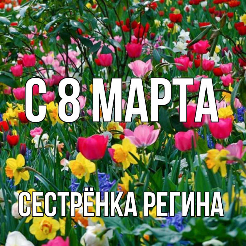 Открытка на каждый день с именем, Сестрёнка-Регина С 8 МАРТА с международным женским днем поздравления для женщины Прикольная открытка с пожеланием онлайн скачать бесплатно 