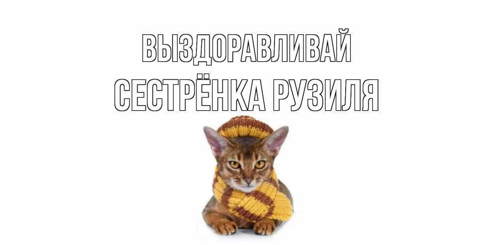 Открытка на каждый день с именем, Сестрёнка-Рузиля Выздоравливай родные не болейте Прикольная открытка с пожеланием онлайн скачать бесплатно 