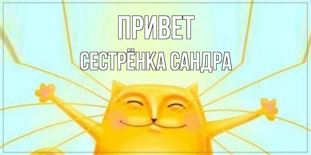 Открытка на каждый день с именем, Сестрёнка-Сандра Привет кот Прикольная открытка с пожеланием онлайн скачать бесплатно 