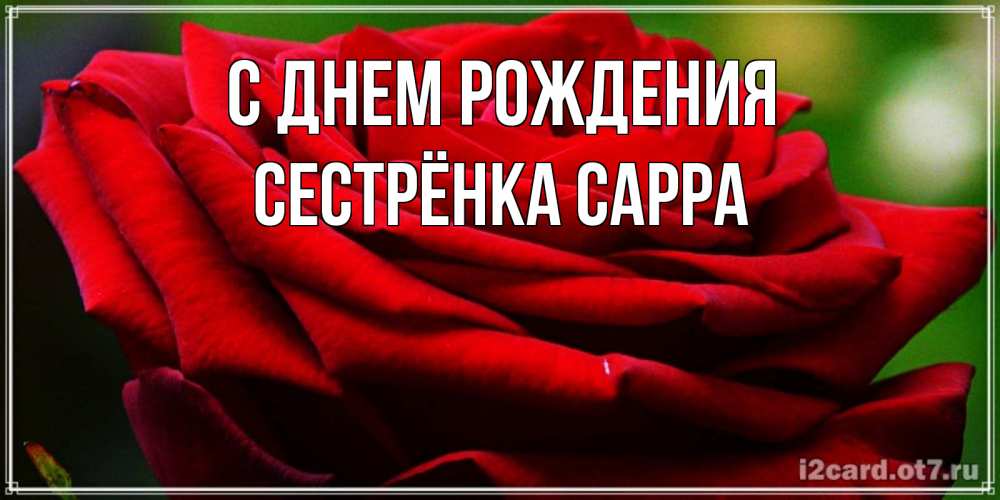 Открытка на каждый день с именем, Сестрёнка-Сарра С днем рождения розочка очень красивая Прикольная открытка с пожеланием онлайн скачать бесплатно 
