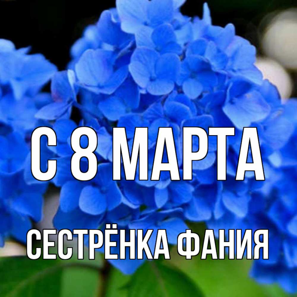 Открытка на каждый день с именем, Сестрёнка-Фания С 8 МАРТА синие цветы Прикольная открытка с пожеланием онлайн скачать бесплатно 