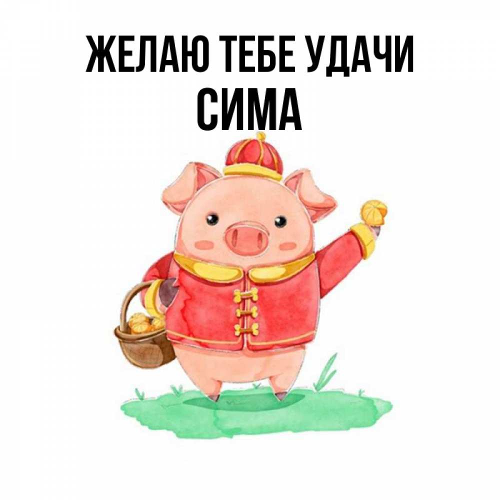 Открытка на каждый день с именем, Сима Желаю тебе удачи поросенок Прикольная открытка с пожеланием онлайн скачать бесплатно 