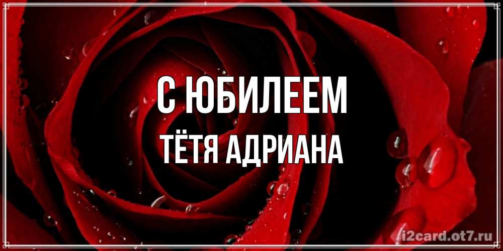 Открытка на каждый день с именем, Тётя-Адриана С юбилеем крупная бордовая роза Прикольная открытка с пожеланием онлайн скачать бесплатно 