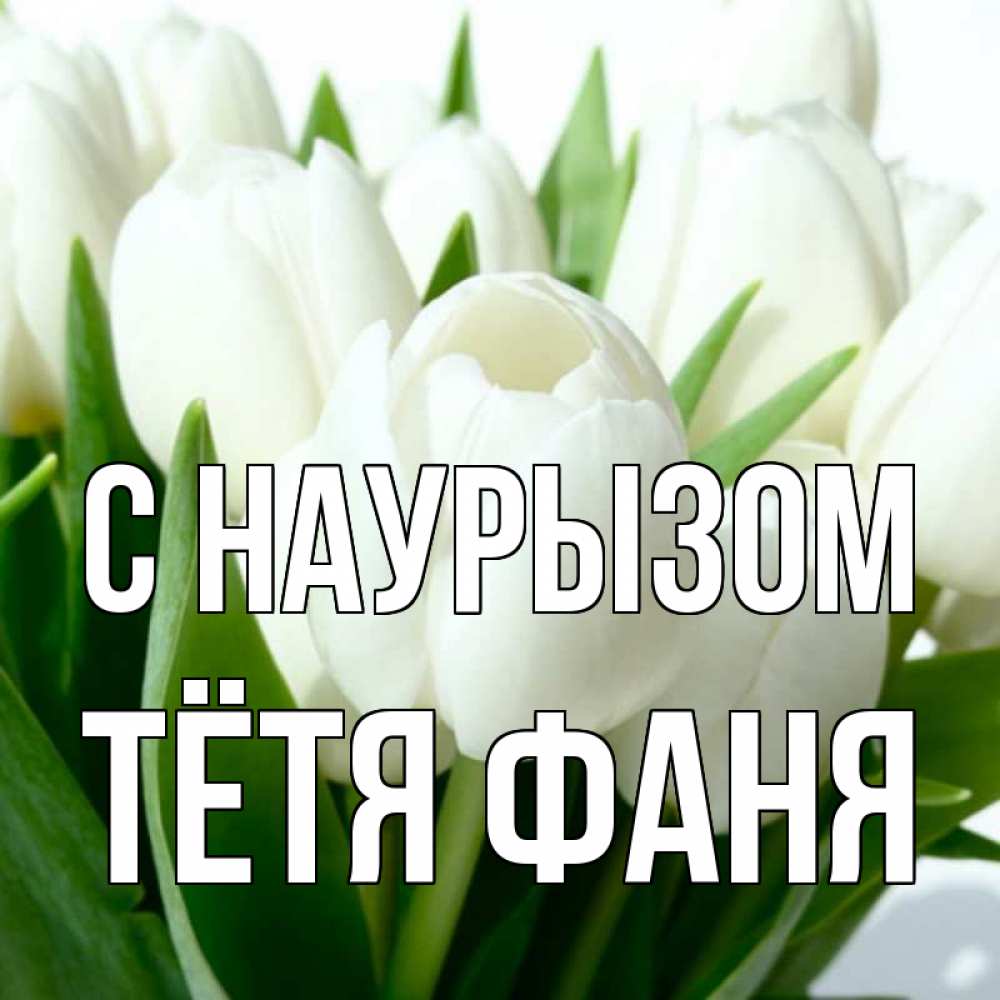 Открытка на каждый день с именем, Тётя-Фаня С наурызом цветы Прикольная открытка с пожеланием онлайн скачать бесплатно 