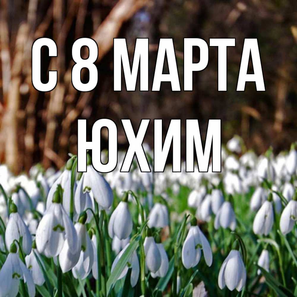 Открытка на каждый день с именем, Юхим С 8 МАРТА с подснежниками 1 Прикольная открытка с пожеланием онлайн скачать бесплатно 