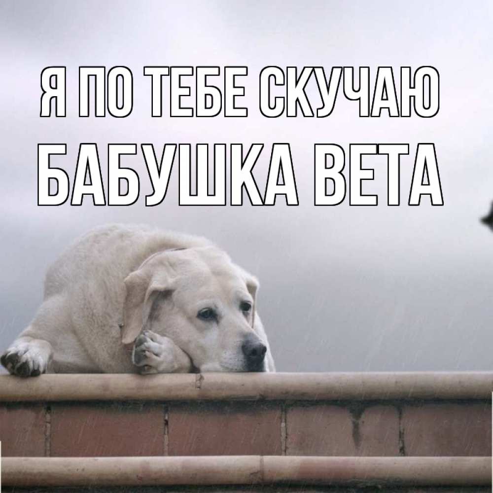 Открытка на каждый день с именем, Бабушка-Вета Я по тебе скучаю ждет Прикольная открытка с пожеланием онлайн скачать бесплатно 