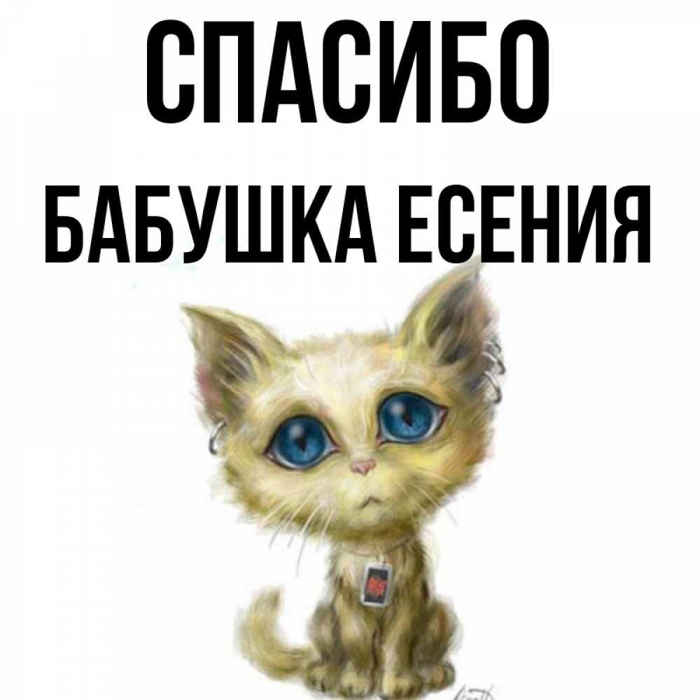 Открытка на каждый день с именем, Бабушка-Есения Спасибо рисованный кот благодарит вас Прикольная открытка с пожеланием онлайн скачать бесплатно 