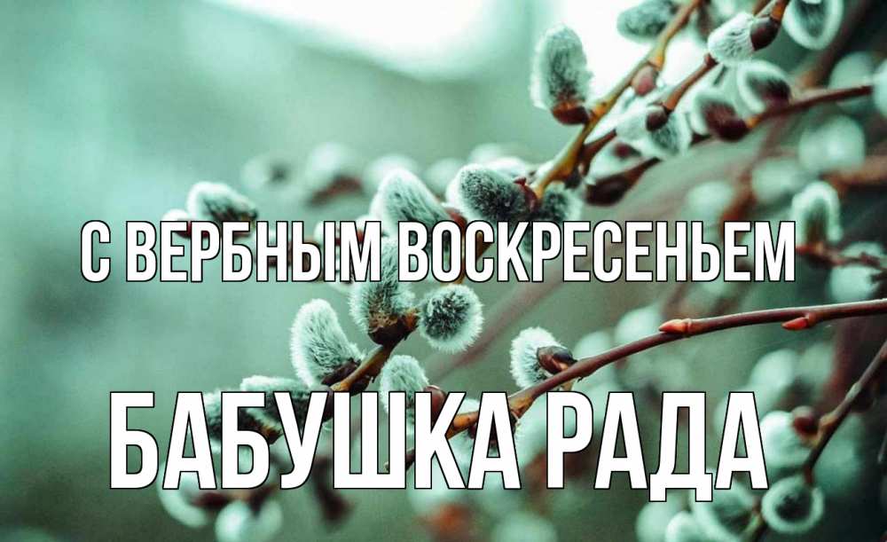 Открытка на каждый день с именем, Бабушка-Рада С вербным воскресеньем верба Прикольная открытка с пожеланием онлайн скачать бесплатно 