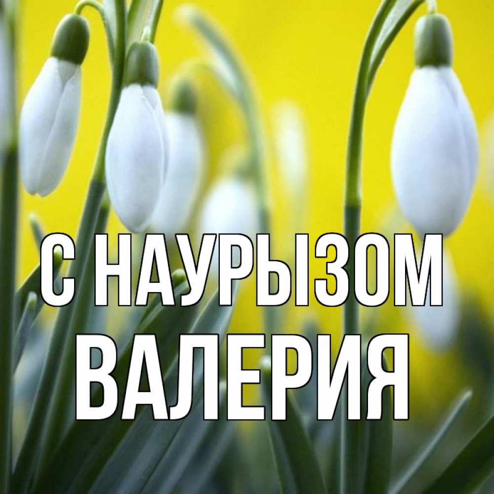 Открытка на каждый день с именем, Валерия С наурызом весенние цветы Прикольная открытка с пожеланием онлайн скачать бесплатно 