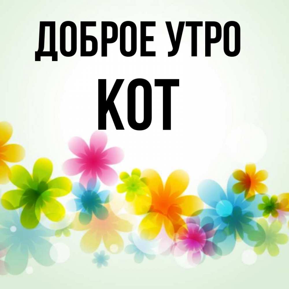 Открытка на каждый день с именем, Кот Доброе утро позитивные цветочки Прикольная открытка с пожеланием онлайн скачать бесплатно 