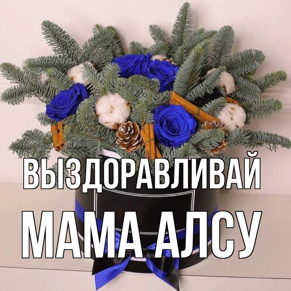 Открытка на каждый день с именем, Мама-Алсу Выздоравливай короче кто то загрузил эти шишки Прикольная открытка с пожеланием онлайн скачать бесплатно 