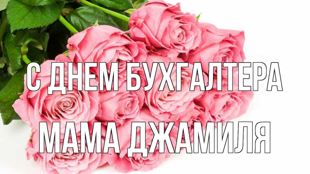Открытка на каждый день с именем, Мама-Джамиля С днем бухгалтера с днем бухгалтера 2 Прикольная открытка с пожеланием онлайн скачать бесплатно 