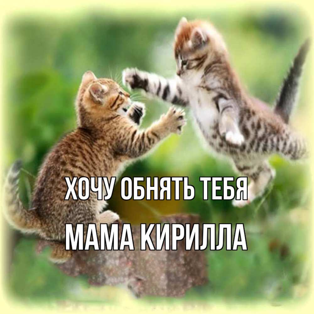Открытка на каждый день с именем, Мама-Кирилла Хочу обнять тебя игры котят Прикольная открытка с пожеланием онлайн скачать бесплатно 