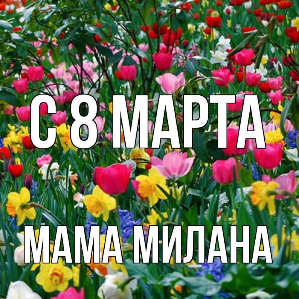 Открытка на каждый день с именем, Мама-Милана С 8 МАРТА с международным женским днем поздравления для женщины Прикольная открытка с пожеланием онлайн скачать бесплатно 