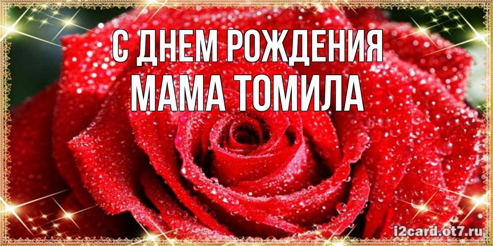 Открытка на каждый день с именем, Мама-Томила С днем рождения роса и роза. открытка с красивой розой Прикольная открытка с пожеланием онлайн скачать бесплатно 