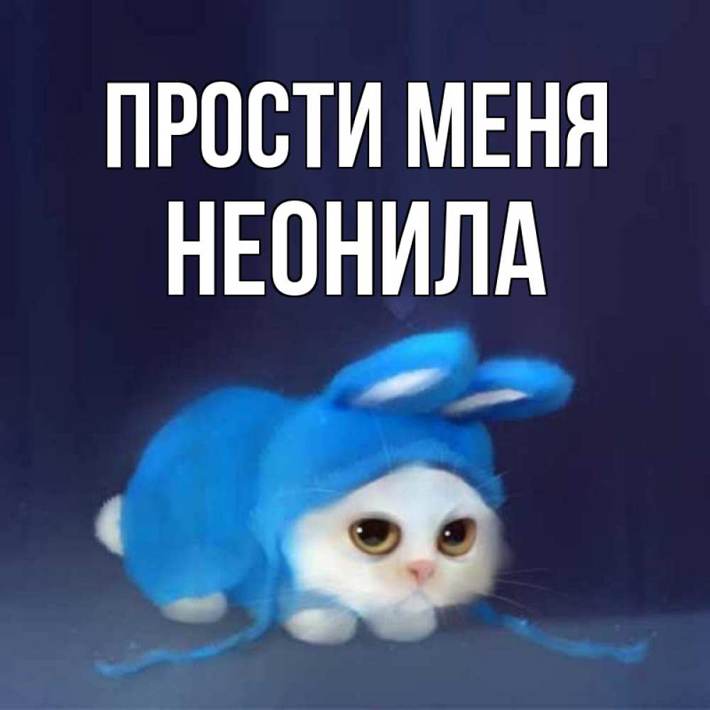 Открытка на каждый день с именем, Неонила Прости меня невинный котозай просит прощения Прикольная открытка с пожеланием онлайн скачать бесплатно 