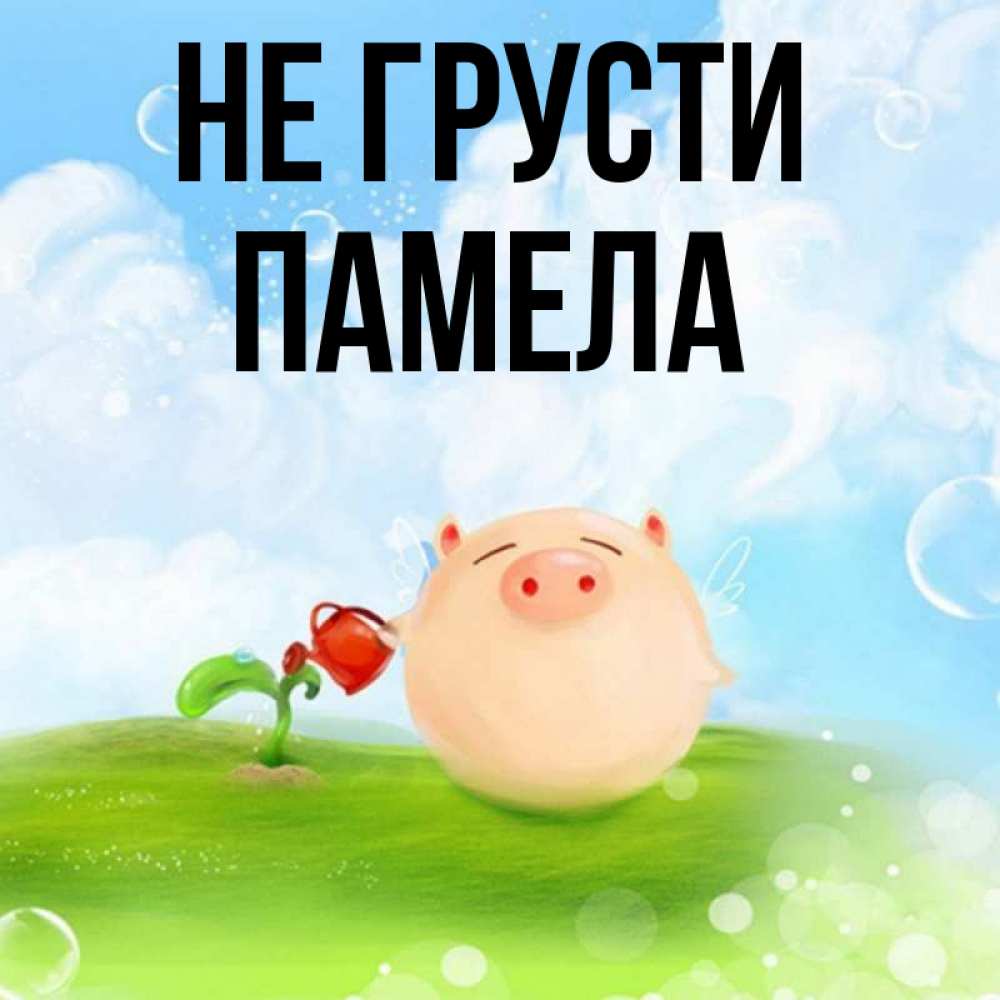 Открытка на каждый день с именем, Памела Не грусти поливает цветок порося Прикольная открытка с пожеланием онлайн скачать бесплатно 