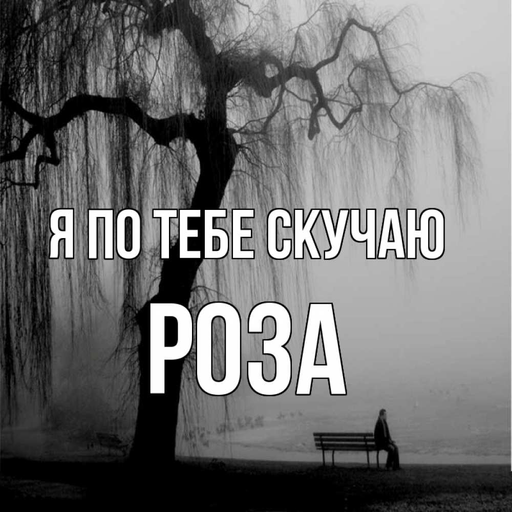 Открытка на каждый день с именем, Роза Я по тебе скучаю лавочка под деревом я жду тебя Прикольная открытка с пожеланием онлайн скачать бесплатно 