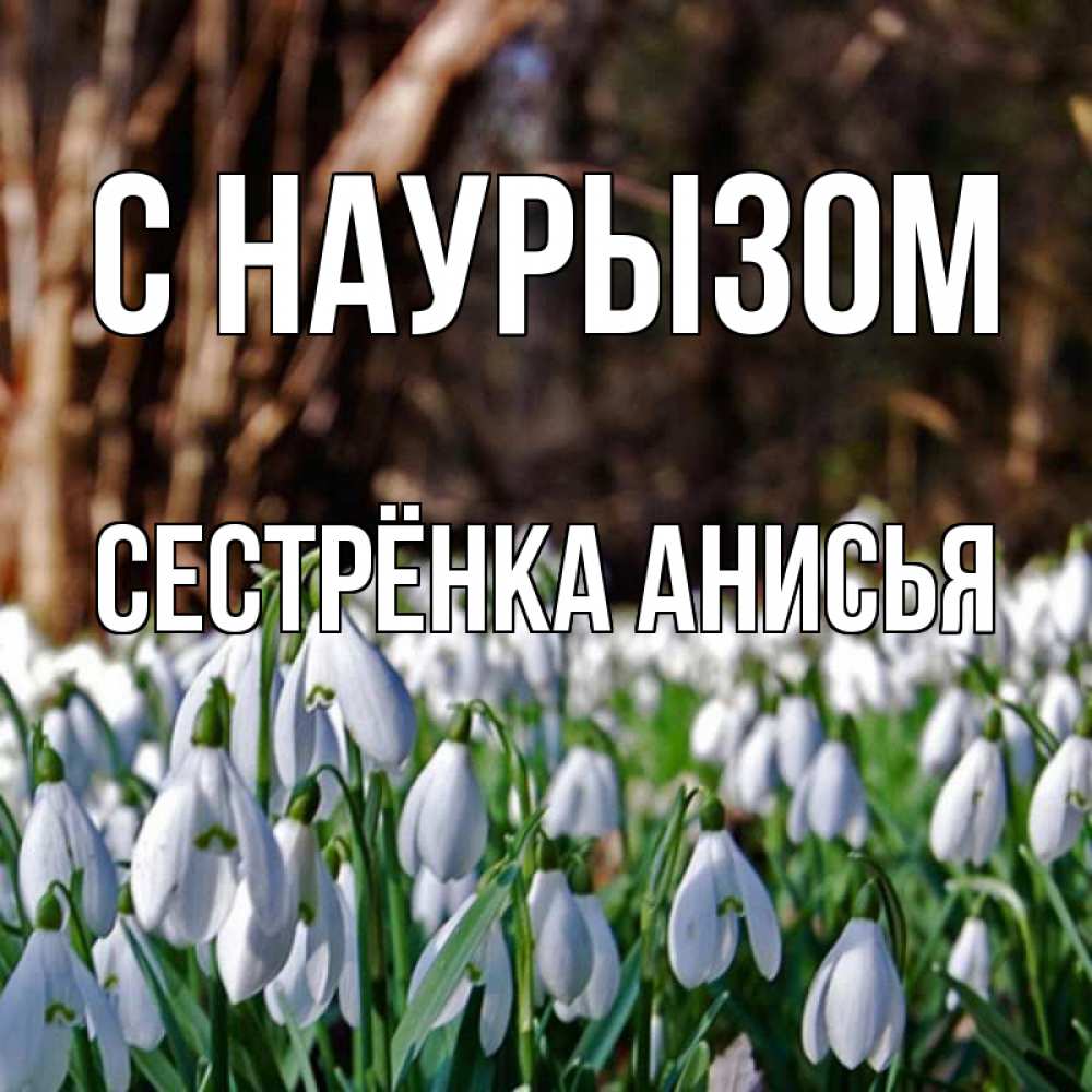 Открытка на каждый день с именем, Сестрёнка-Анисья С наурызом с подснежниками 1 Прикольная открытка с пожеланием онлайн скачать бесплатно 