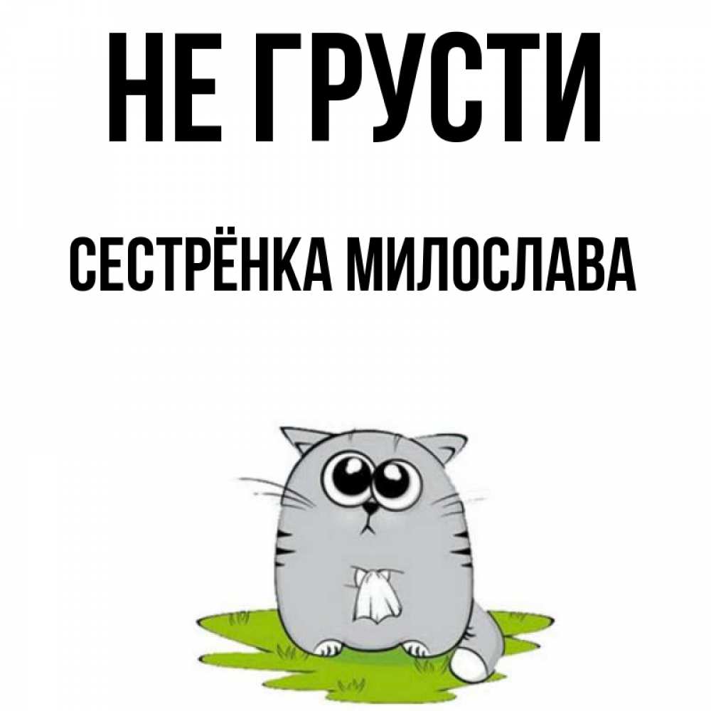 Открытка на каждый день с именем, Сестрёнка-Милослава Не грусти грустный котяра Прикольная открытка с пожеланием онлайн скачать бесплатно 