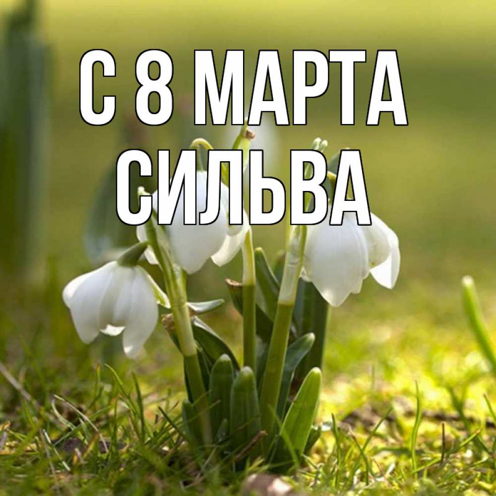 Открытка на каждый день с именем, Сильва С 8 МАРТА ранние цветы 2 Прикольная открытка с пожеланием онлайн скачать бесплатно 